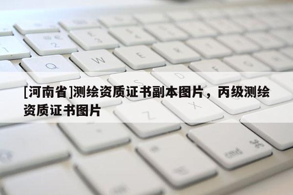 [河南省]测绘资质证书副本图片，丙级测绘资质证书图片