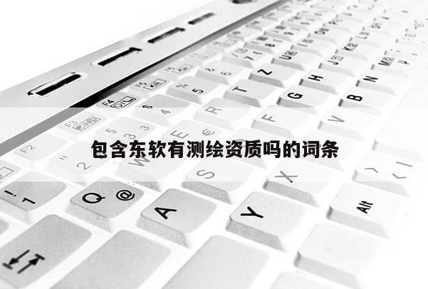 包含东软有测绘资质吗的词条