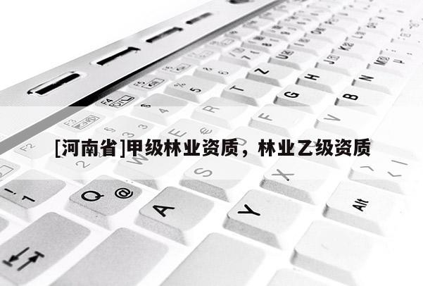 [河南省]甲级林业资质，林业乙级资质