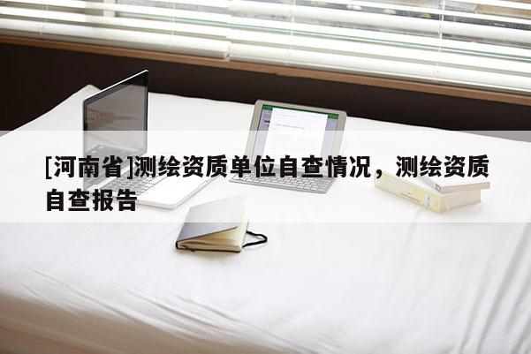 [河南省]测绘资质单位自查情况，测绘资质自查报告