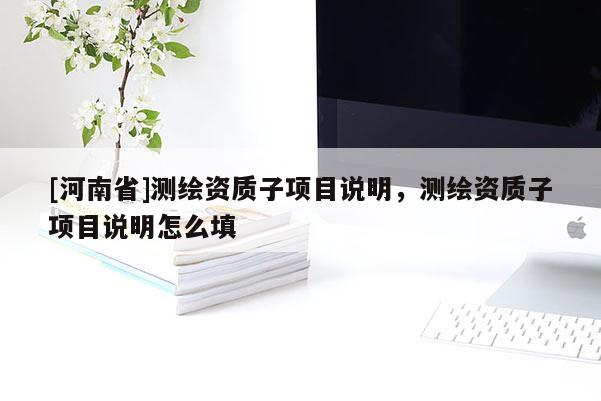 [河南省]测绘资质子项目说明，测绘资质子项目说明怎么填