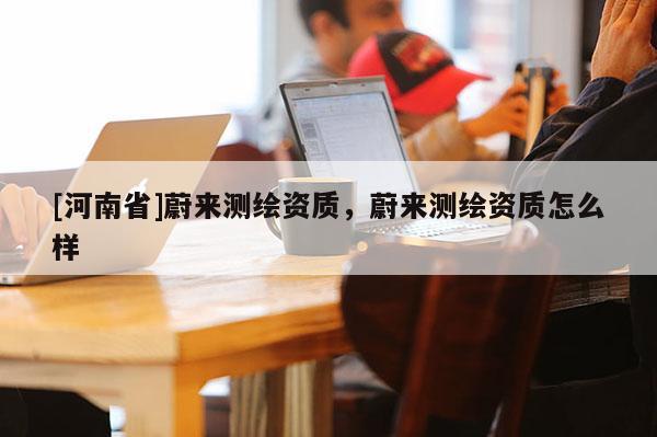 [河南省]蔚来测绘资质，蔚来测绘资质怎么样