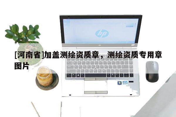 [河南省]加盖测绘资质章，测绘资质专用章图片