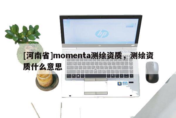 [河南省]momenta测绘资质，测绘资质什么意思