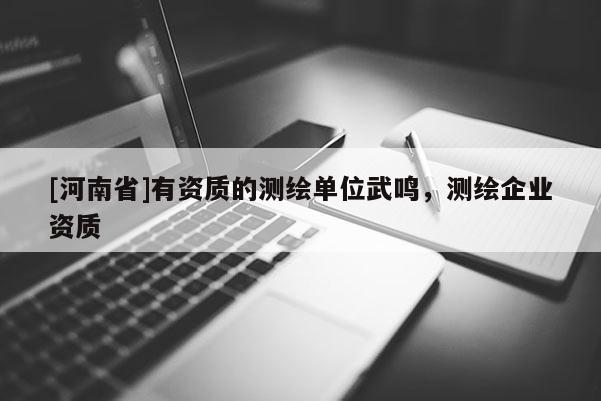 [河南省]有资质的测绘单位武鸣，测绘企业资质