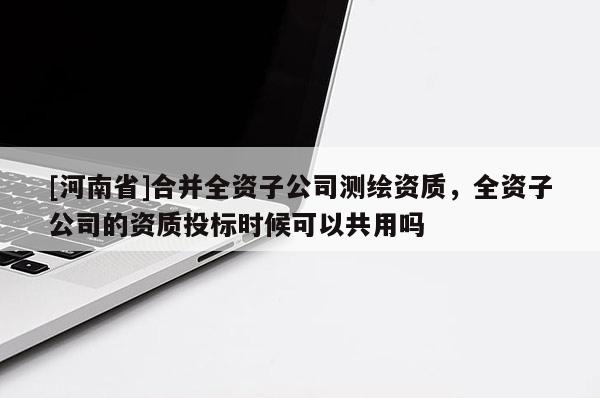 [河南省]合并全资子公司测绘资质，全资子公司的资质投标时候可以共用吗