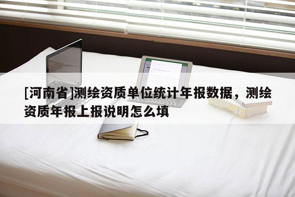 [河南省]测绘资质单位统计年报数据，测绘资质年报上报说明怎么填